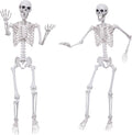 Hibsotco 2Pack 5.4Ft Life Size Skeletons Posable Skeletons Full Size Plastic Human Skeleton with Movable Jo