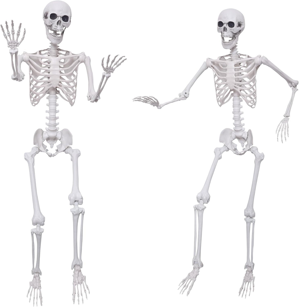 Hibsotco 2Pack 5.4Ft Life Size Skeletons Posable Skeletons Full Size Plastic Human Skeleton with Movable Jo